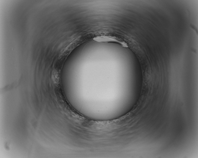 X0000100970037200807081230