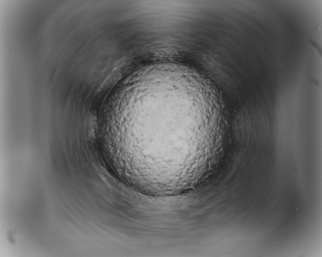 X0000100970038200807081230