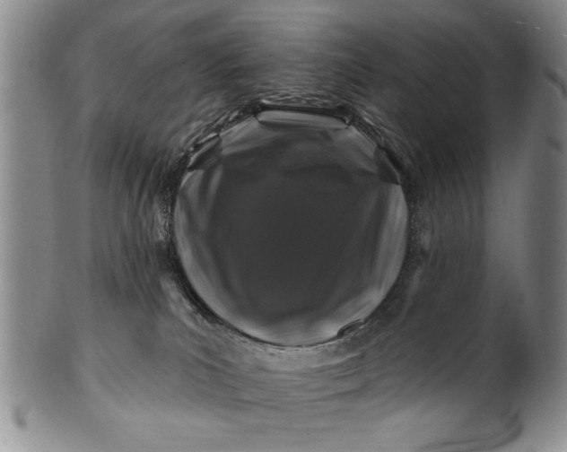 X0000100970039200807081230