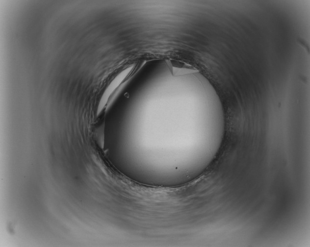 X0000100970040200807081230