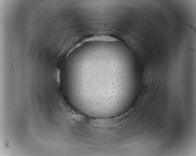 X0000100970041200807081230