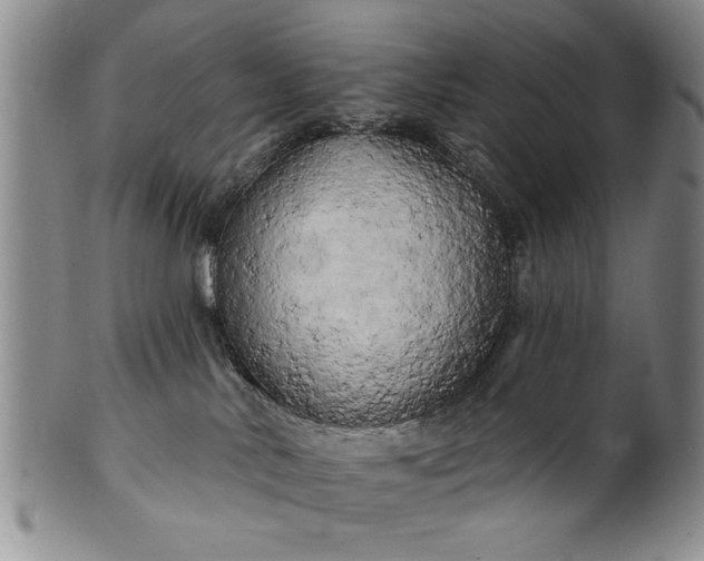X0000100970042200807081230