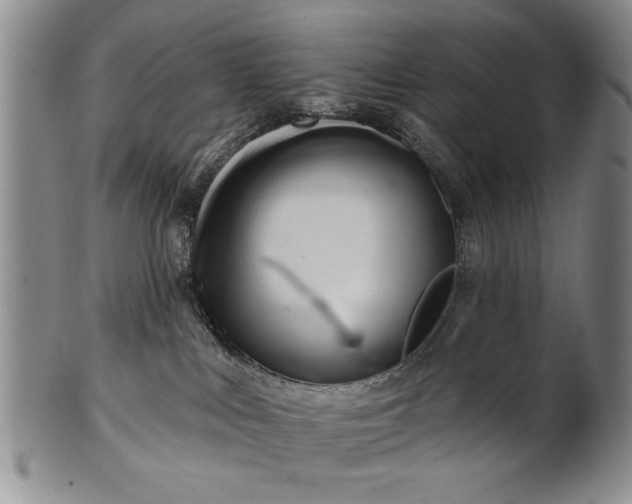 X0000100970043200807081230
