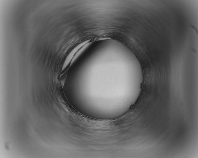 X0000100970044200807081230