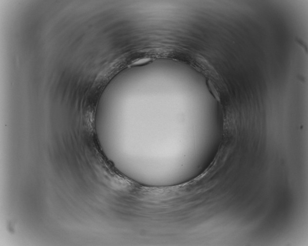 X0000100970045200807081230