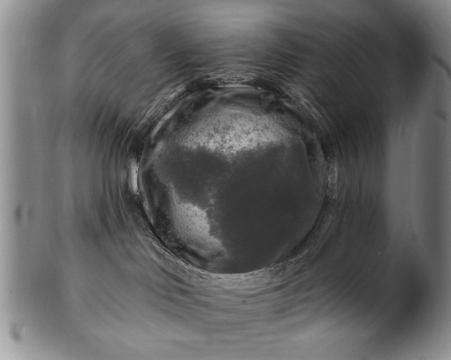 X0000100970046200807081230