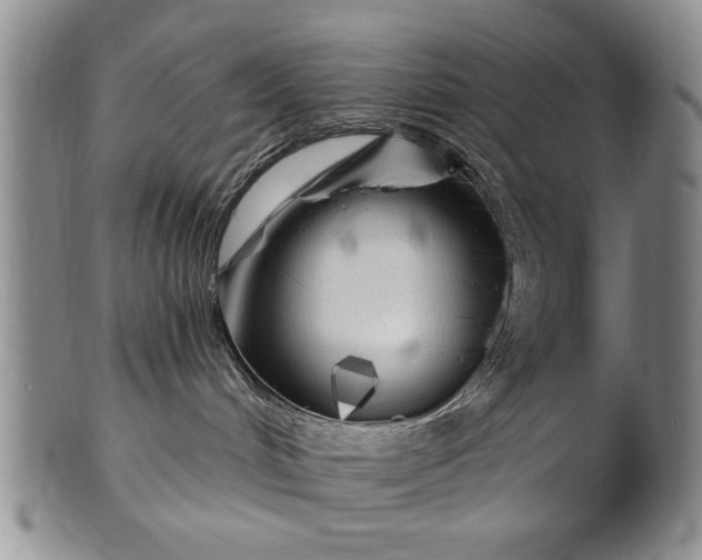X0000100970048200807081230