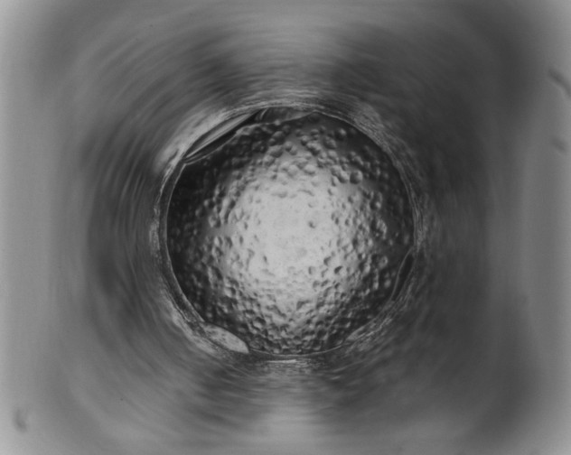 X0000100970050200807081229