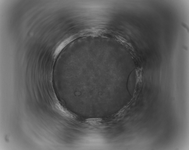 X0000100970051200807081229