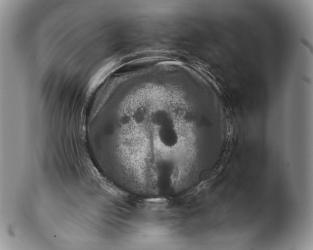X0000100970053200807081229