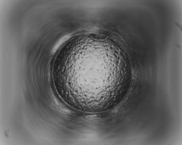 X0000100970054200807081229