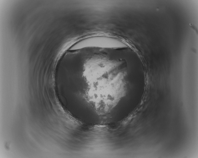 X0000100970055200807081229
