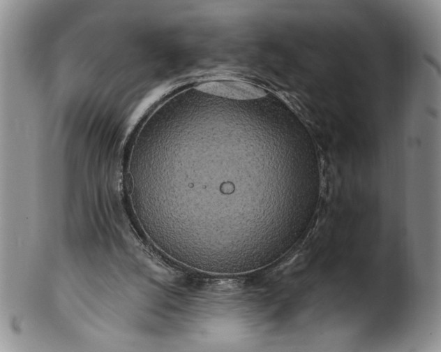 X0000100970056200807081229