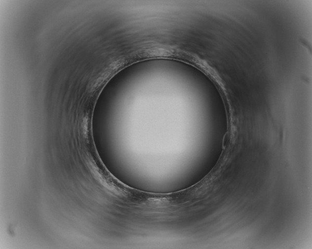 X0000100970057200807081229