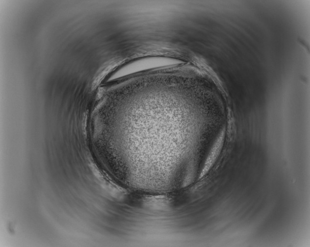 X0000100970058200807081229