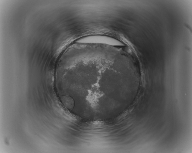 X0000100970059200807081229