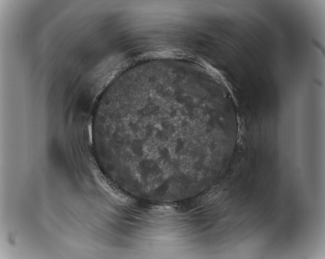 X0000100970061200807081229
