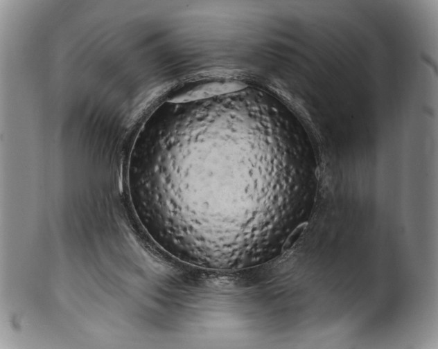 X0000100970062200807081229