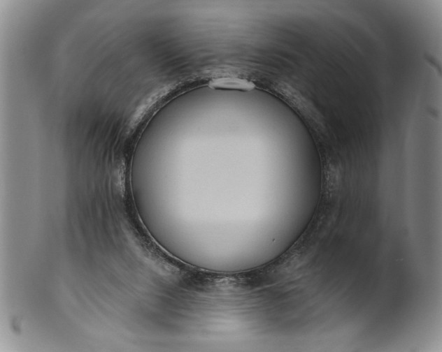 X0000100970064200807081229