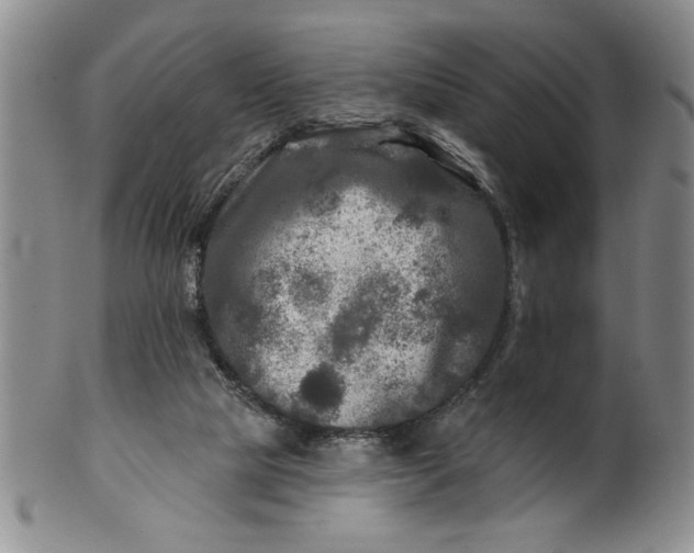 X0000100970065200807081229