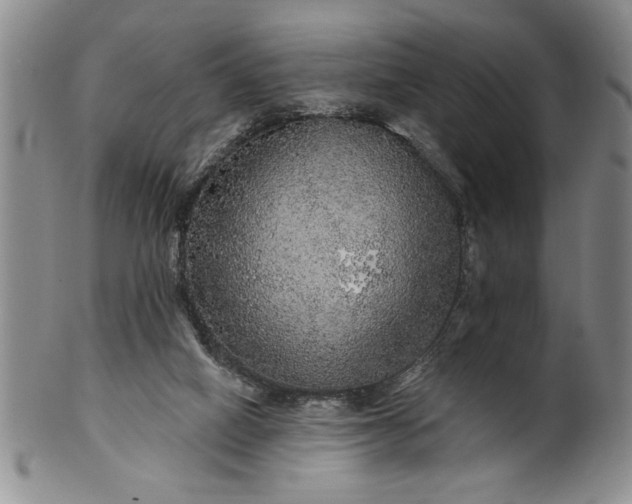 X0000100970066200807081229