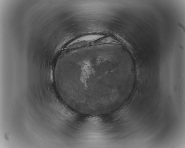 X0000100970067200807081229