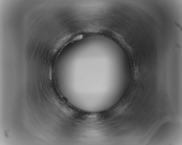 X0000100970068200807081229