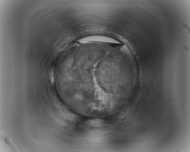 X0000100970069200807081229