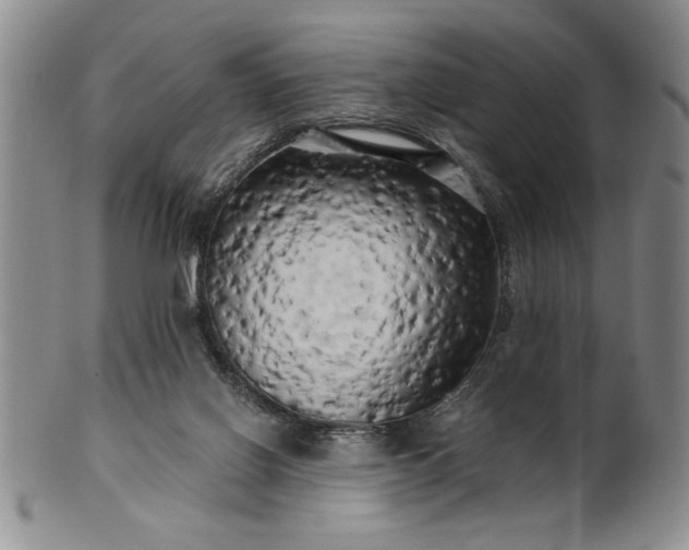 X0000100970070200807081229