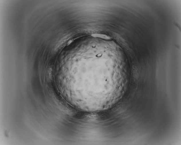 X0000100970071200807081229