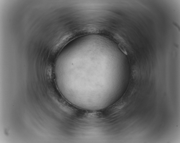 X0000100970072200807081229