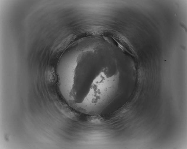 X0000100970073200807081229