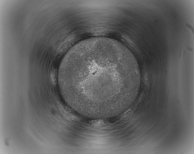 X0000100970074200807081229