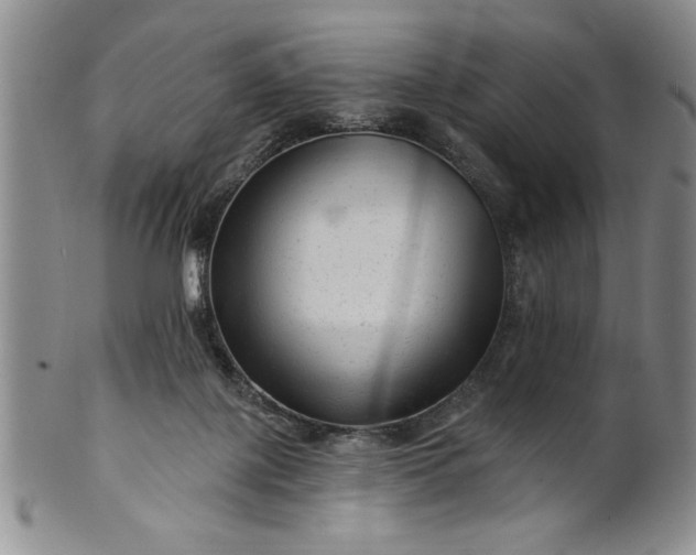 X0000100970075200807081229