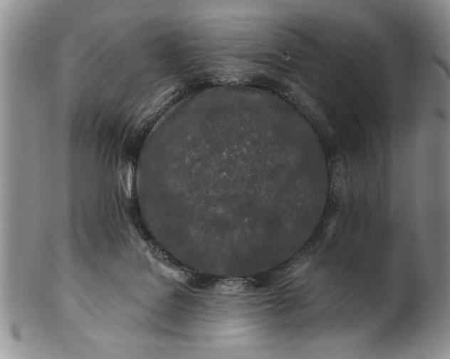 X0000100970076200807081230