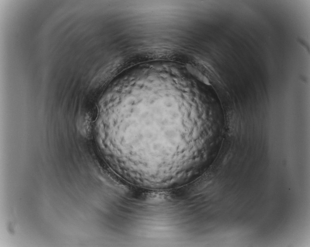X0000100970077200807081230