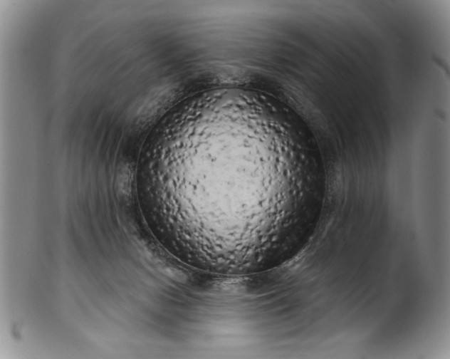 X0000100970078200807081230