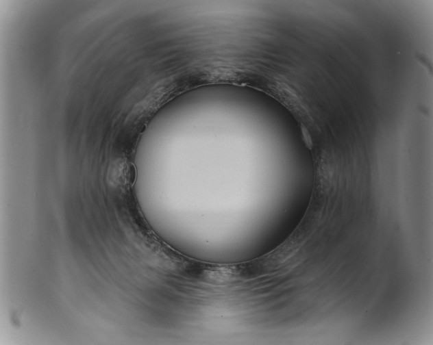 X0000100970079200807081230