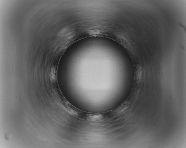 X0000100970081200807081230