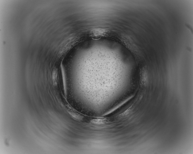 X0000100970082200807081230