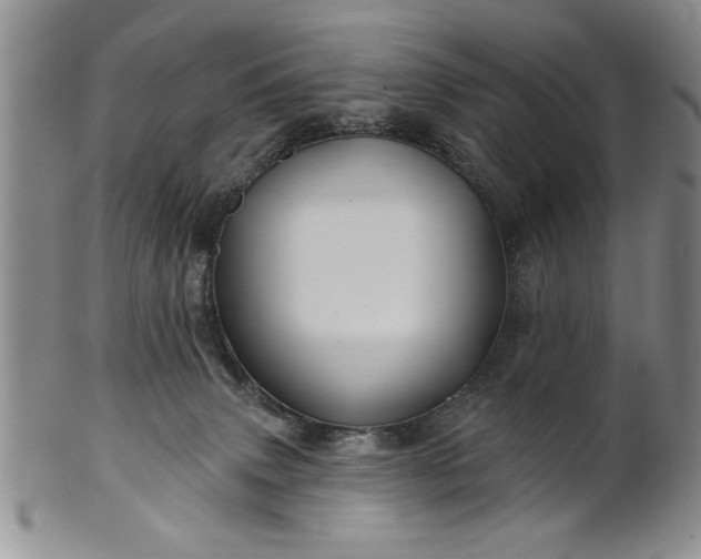 X0000100970083200807081230