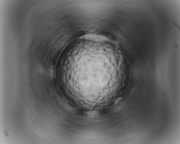 X0000100970085200807081230