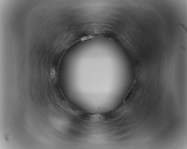 X0000100970087200807081230