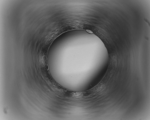 X0000100970088200807081230