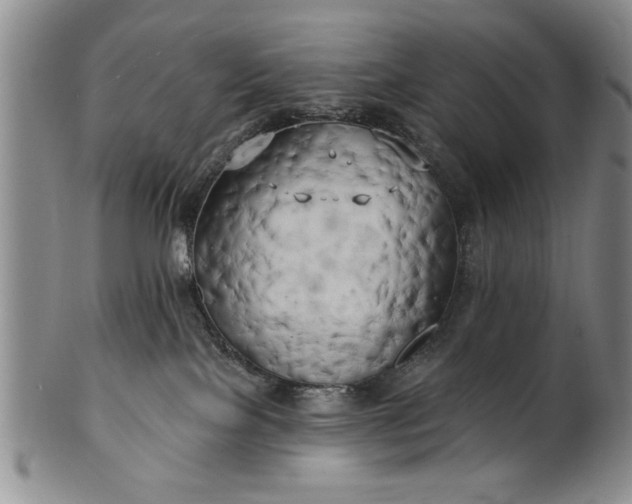X0000100970089200807081230