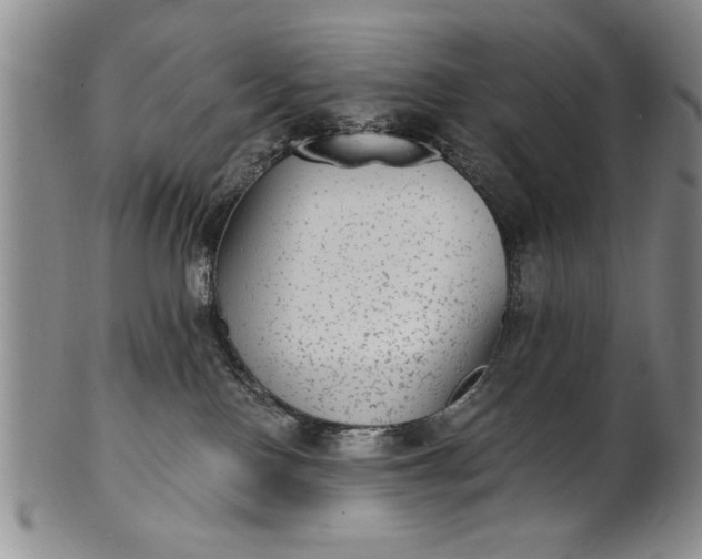 X0000100970090200807081230