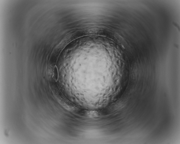 X0000100970091200807081230