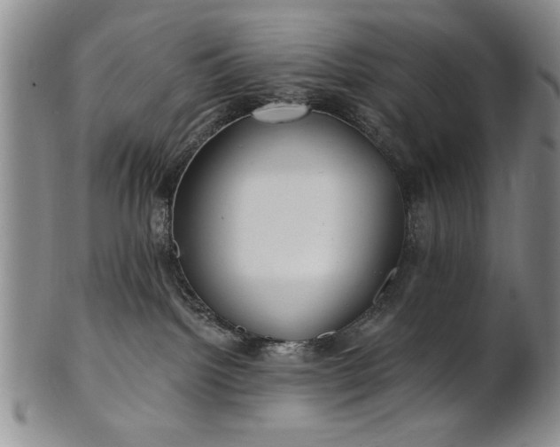 X0000100970092200807081230