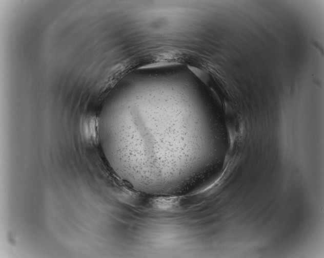 X0000100970094200807081230