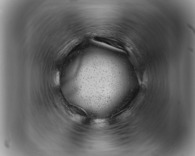 X0000100970095200807081230